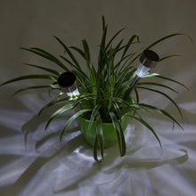 Lade das Bild in den Galerie-Viewer, 24pcs 5W High Brightness Solar Power LED Rasenlampen mit Lampenschirmen Weiß & Silber